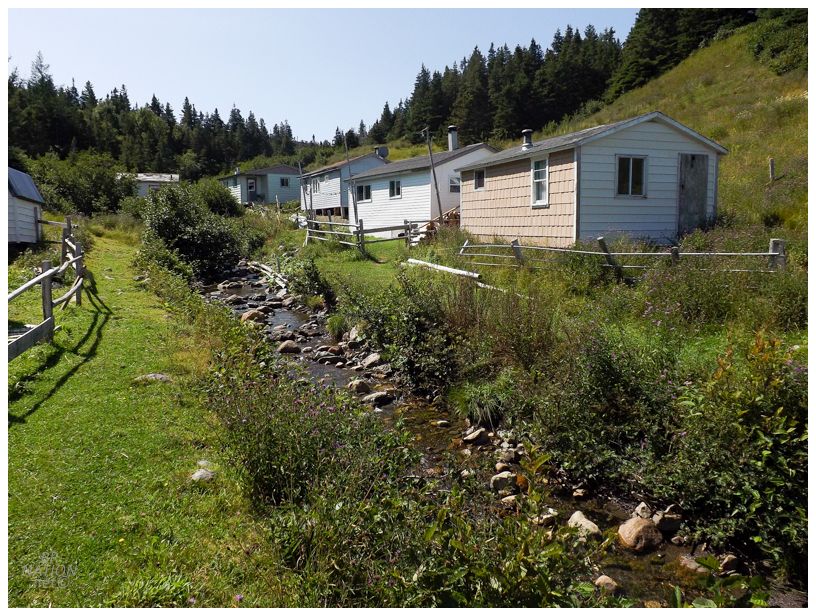 houses along the creek in brakes cove