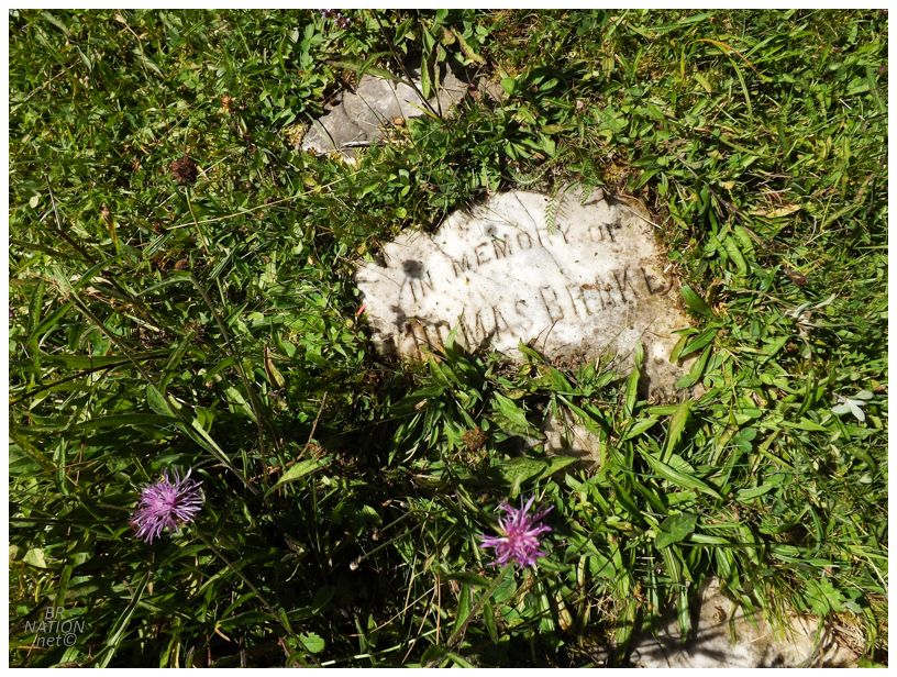 upclose of thomas brake's grave with purple flowers